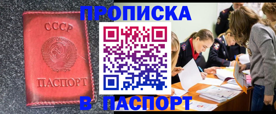 прописка для школы в Московской области